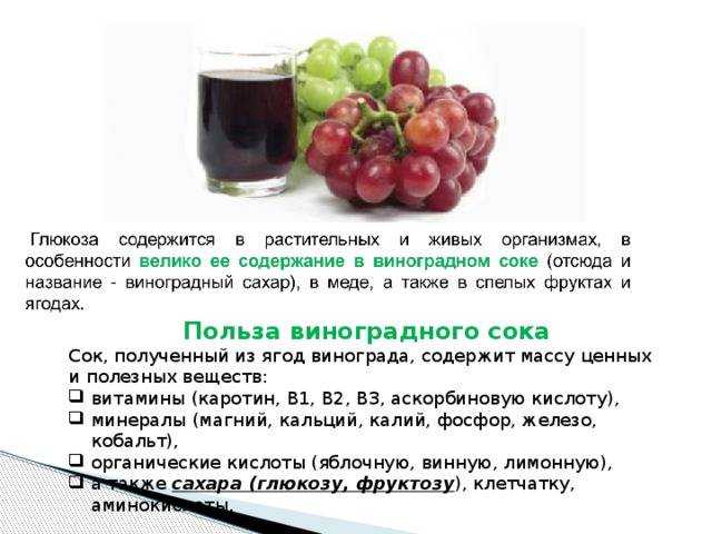 Полезны ли виноградные косточки: свойства, вещества, рецепты