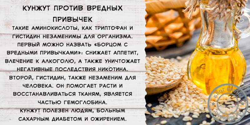 Кунжут: польза и вред, как принимать, масло, черный и белый, советы