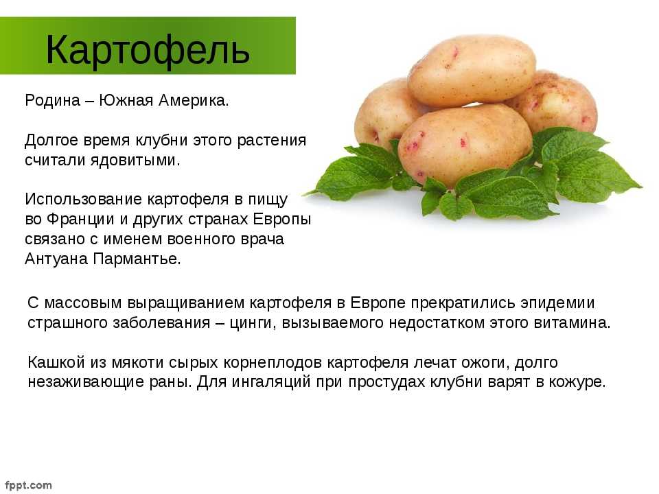 Маска из картофеля для лица: отзывы о картофельной, польза свежей сырой картошки от отеков