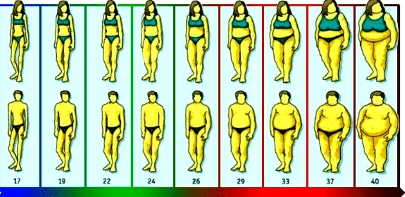 Со скольки людьми. Распределение жира на теле. Ожирение типы ожирения. Ожирение по женскому типу. Типы ожирения у мужчин и женщин.