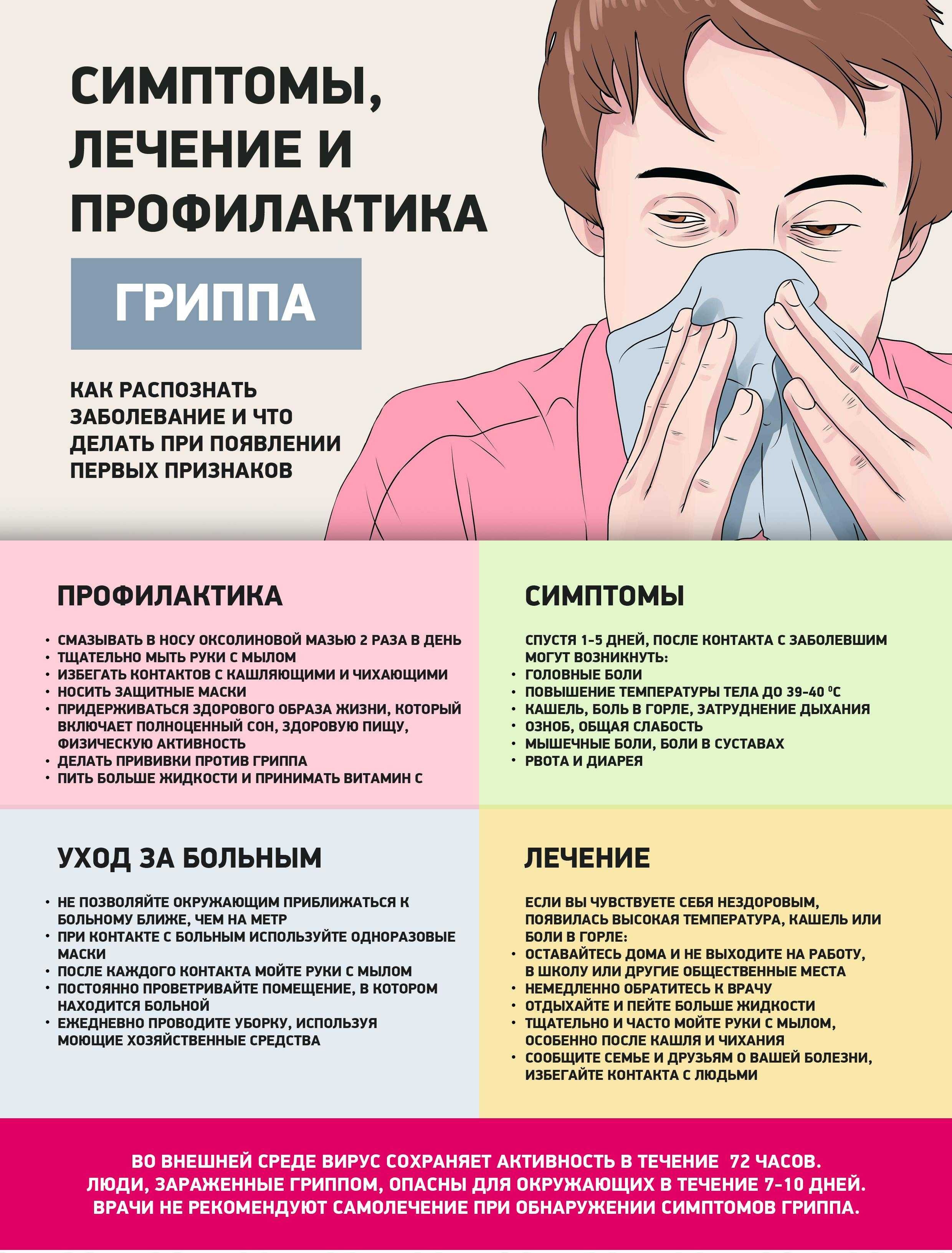 7 фактов о пользе хвойных деревьев