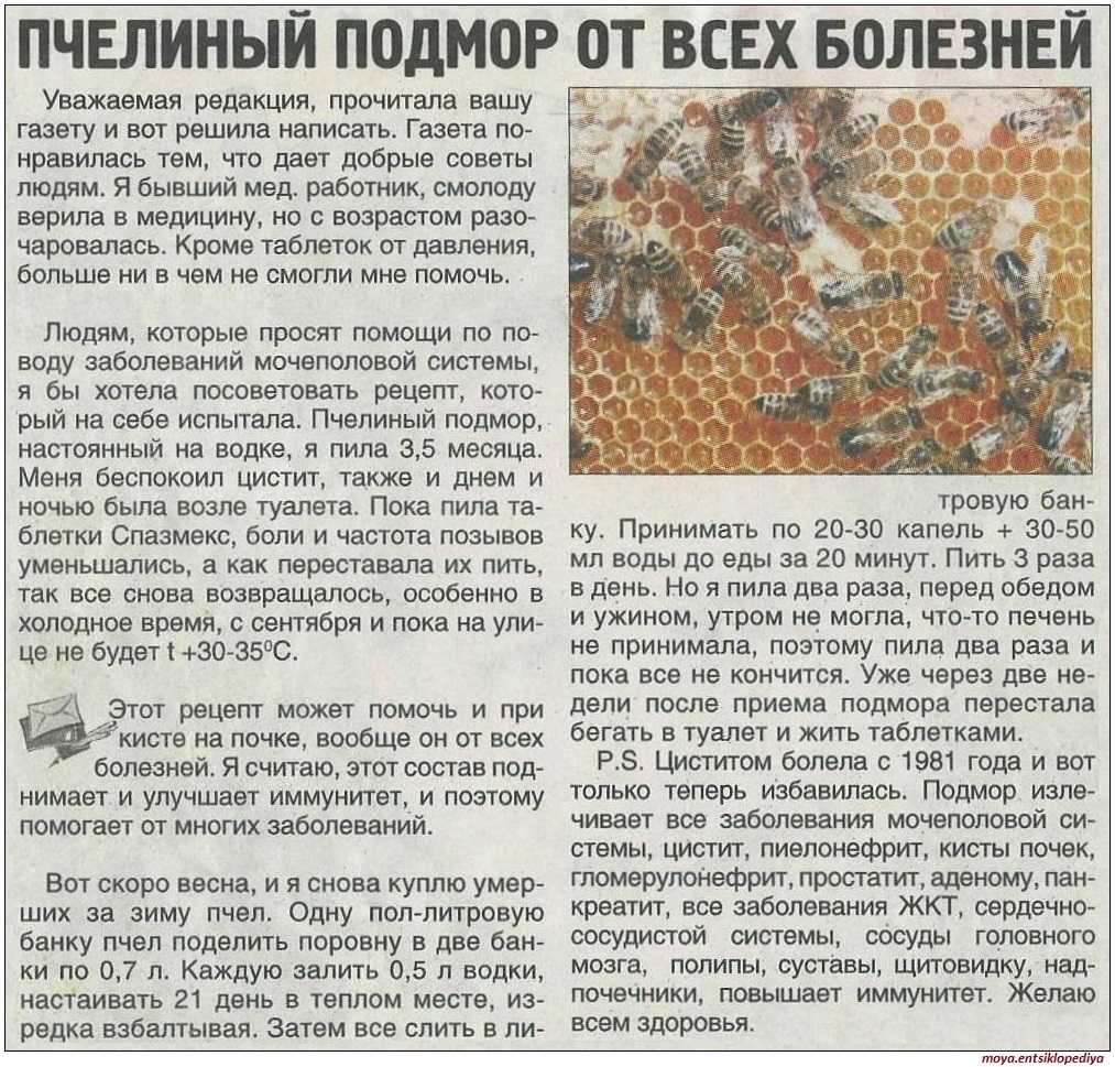 Настойка Подмора Купить В Аптеке