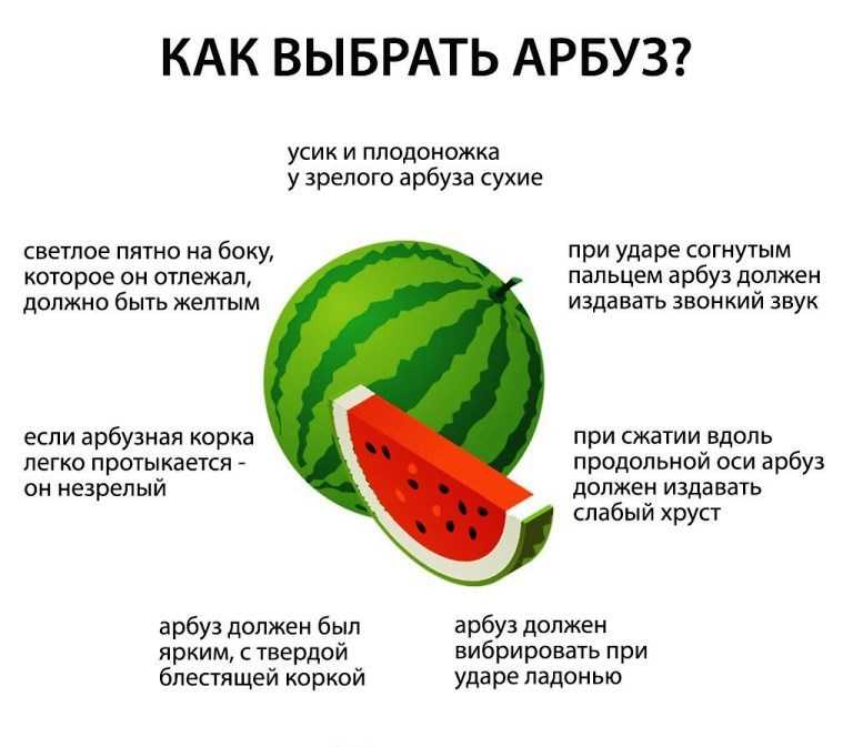 Арбуз какая калорийность, сколько калорий на 100 гр мякоти и на 1кг?