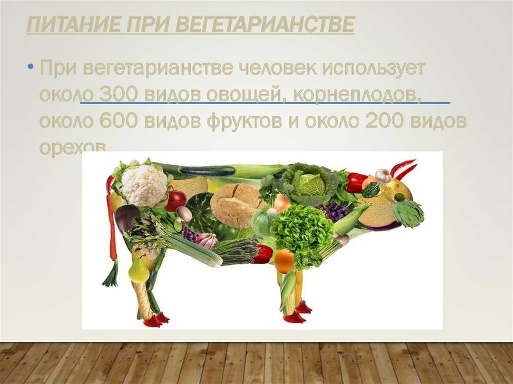 Что едят вегетарианцы продукты