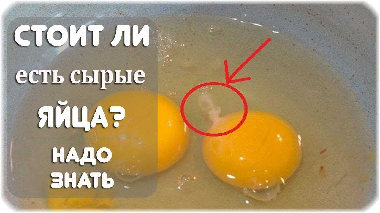 Как правильно пить яйца. Сырое яйцо. Можно ли ест ьсырые чйца. Можно ли кушать сырые яйца.