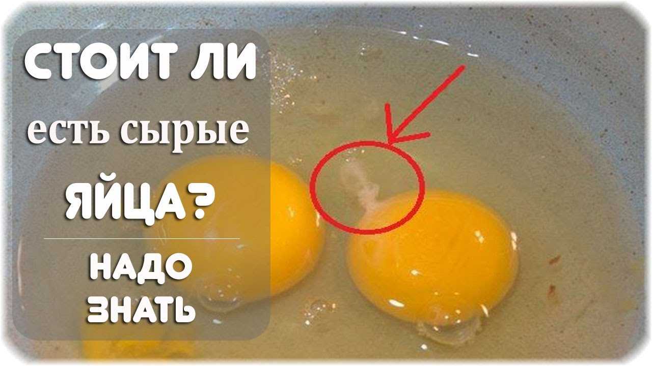 Когда есть, как готовить, кому вредно? наивные вопросы про яйца