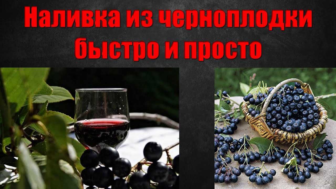 Рецепты настоек на черноплодной рябине. осеннего настроения пост.