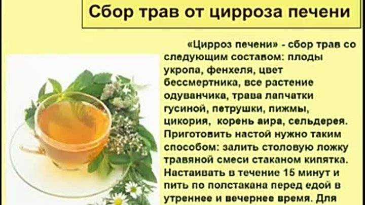 Преимущества и недостатки травы сенны для очищения кишечника