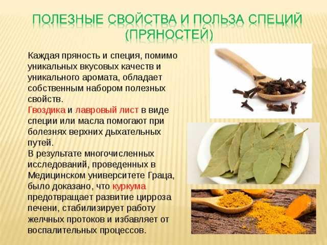 Корица с медом для похудения – свойства, польза и вред, как и сколько пить, как приготовить (рецепты, в т.ч. с добавлением имбиря и лимона), противопоказания, отзывы врачей