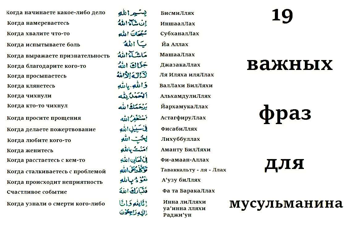 10 самых страшных звонков в 911