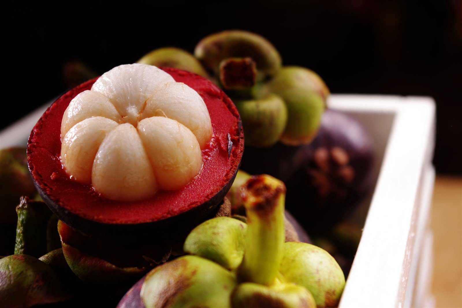 Мангустин (фрукт) — полезные свойства, и как его едят