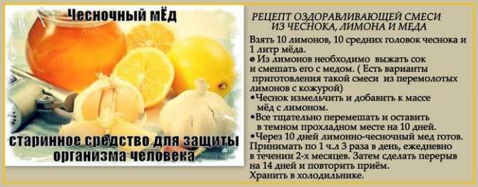 Имбирная настойка - рецепт на водке с пошаговыми фото