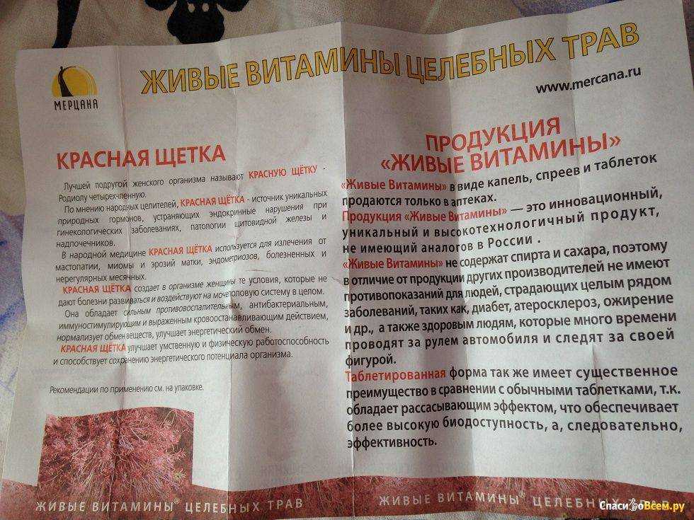 Красная щетка (родиола четырехчленная, холодная): лечебные свойства, показания, противопоказания, инструкция по применению / mama66.ru