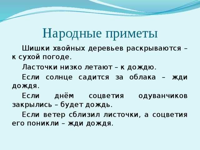 Стрижка ногтей по лунному календарю – ритуал, который изменит вашу жизнь. | vrednuga.ru