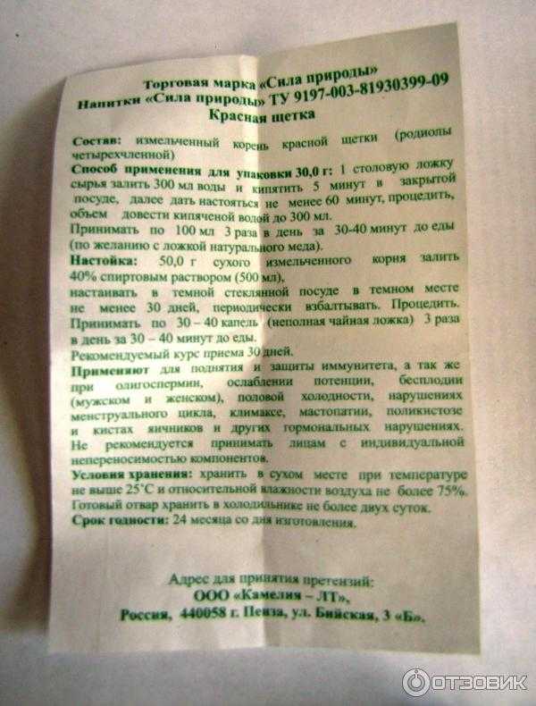 Красная щетка: лечебные свойства и противопоказания, применение травы и настойки