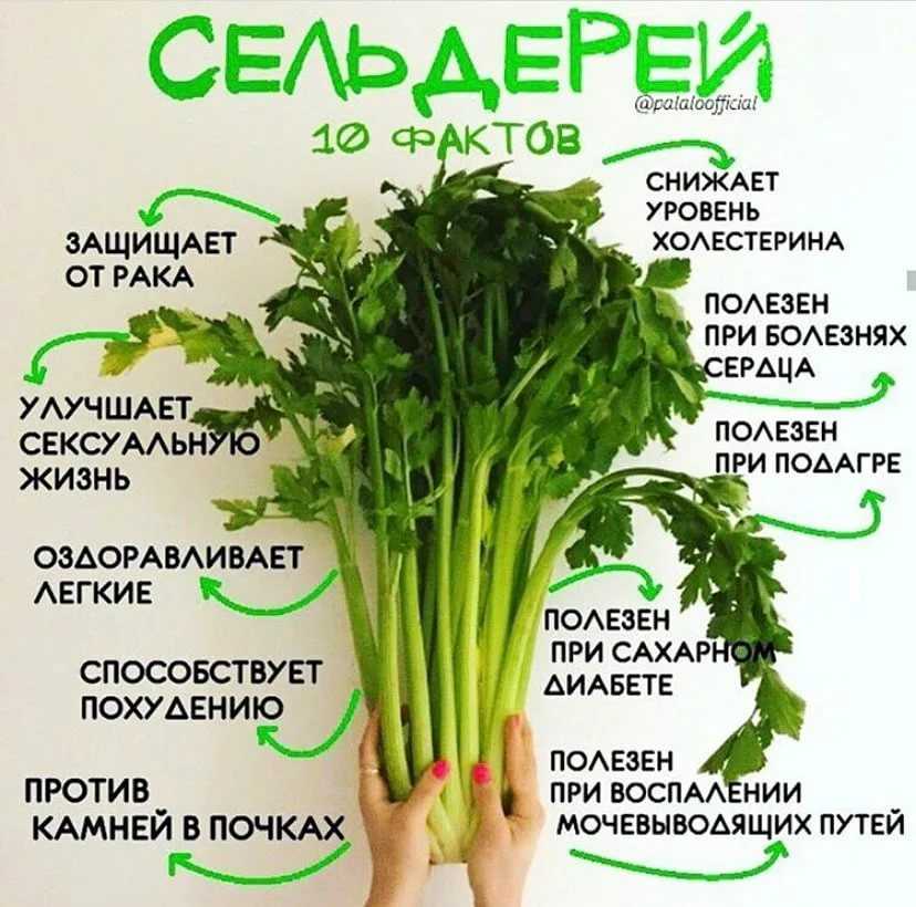 Хлоргексидин — оригинальная замена тоника для лица