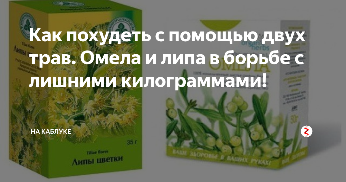 Омела Белая Настойка Купить В Аптеке