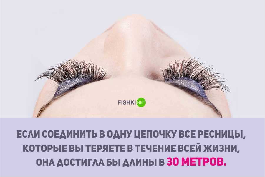 Ломкие ресницы - причины, что делать при ломкости ресниц