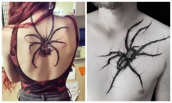 Tattoo • значение тату: паук