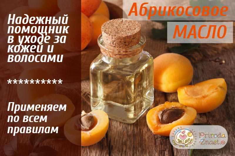 Абрикосовое масло – использование для волос, кожи, тела