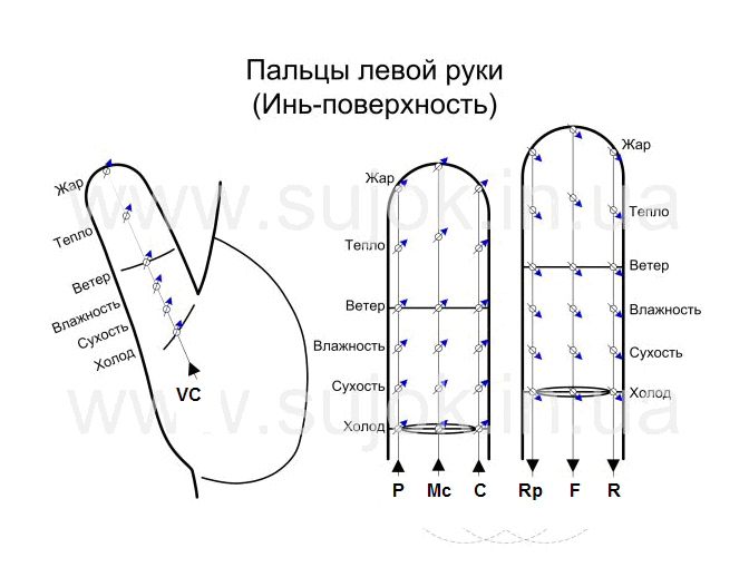Су-джок терапия – что это такое?