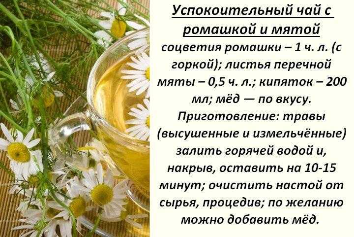 В чем польза настойки из имбиря и как ее приготовить?