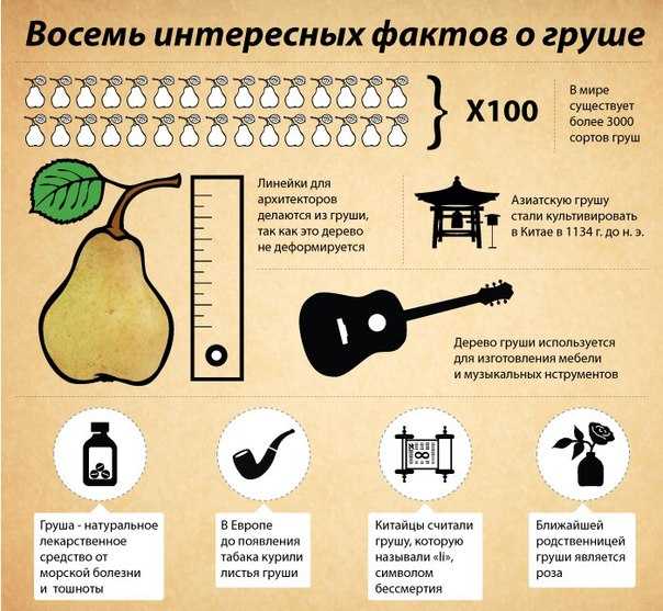 Хосу — китайская «песчаная» груша