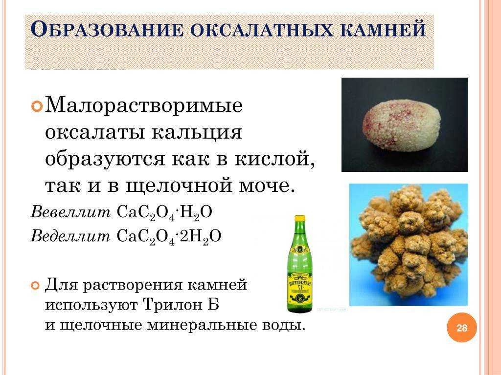 Что такое вевеллит кальция оксалат моногидрат | tsitologiya.su