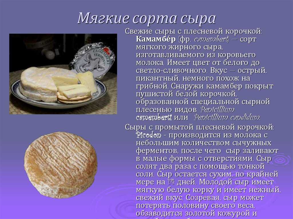Диетический сыр: список лучших нежирных сортов для диеты, какой считается лучшим с низким содержанием жира для худеющих, как выбирать для похудения? | customs.news