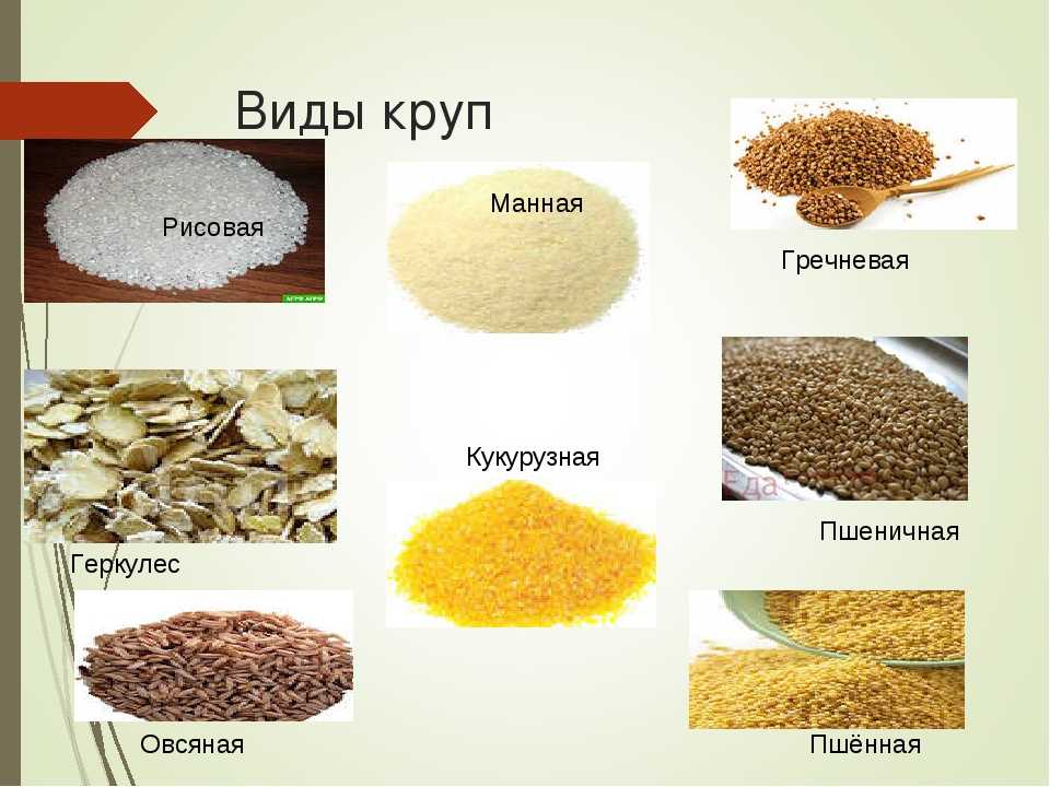 Манная крупа из какого злака польза и вред. из чего и как делают манную крупу, ее виды и свойства