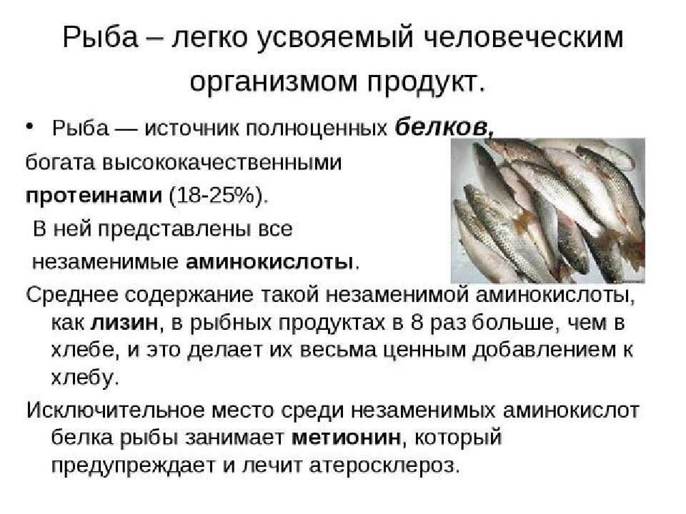 Можно ли на диете есть селедку и в каком виде?