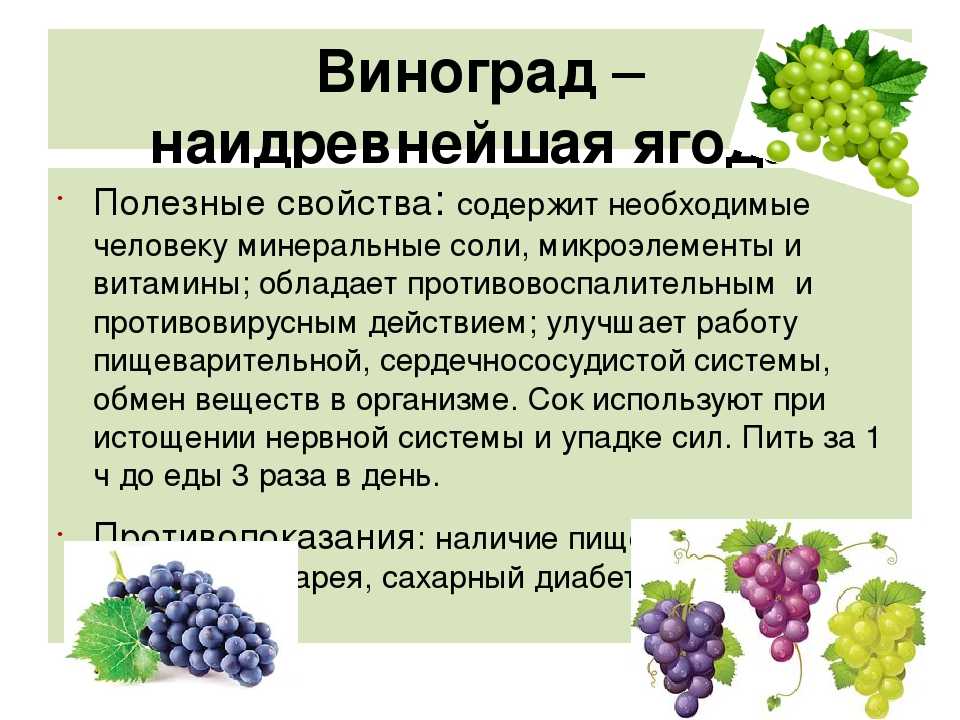 Подагра: симптомы и методы лечения. диета и препараты при подагре.