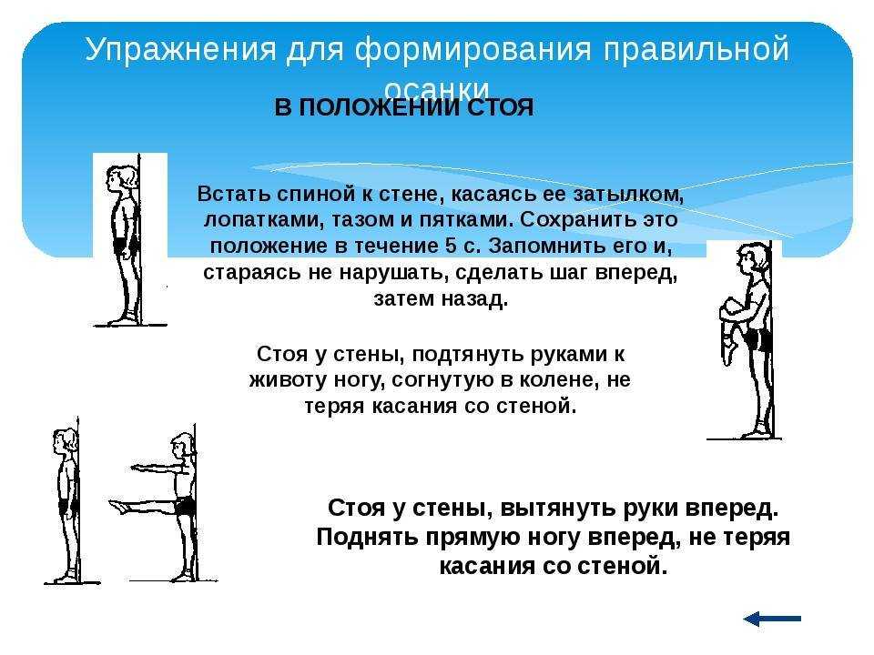 Упражнения для правильной осанки от тренеров gold’s gym