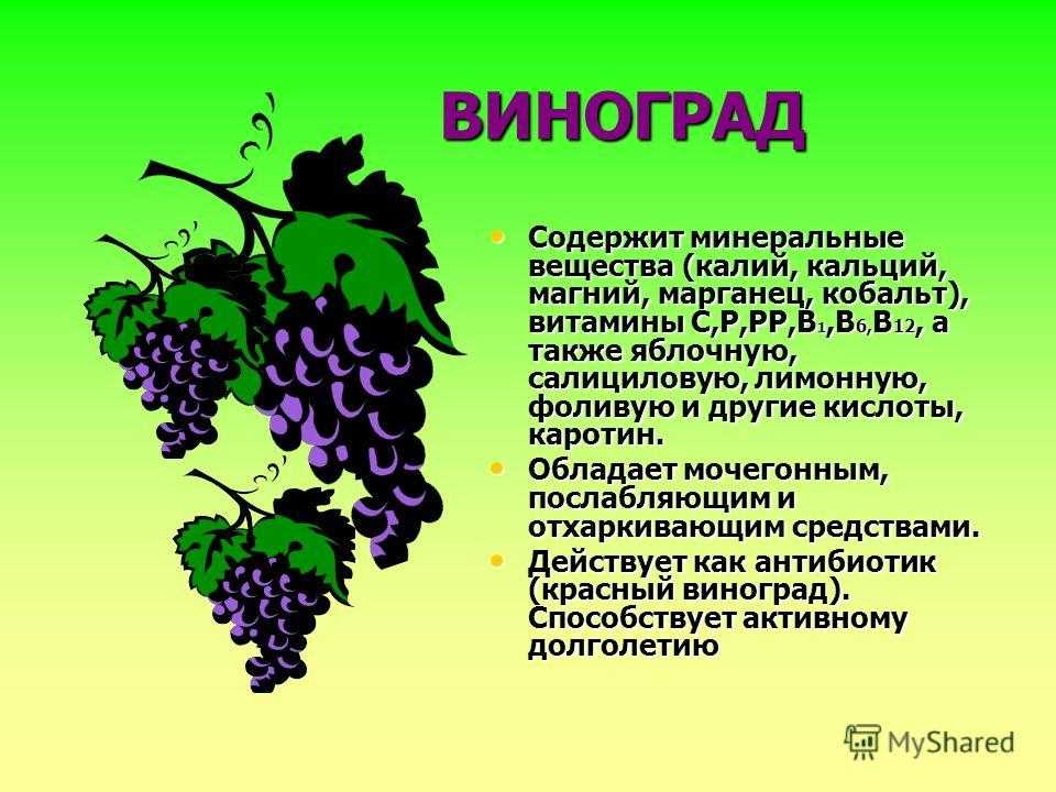 Какого витамина больше всего в винограде