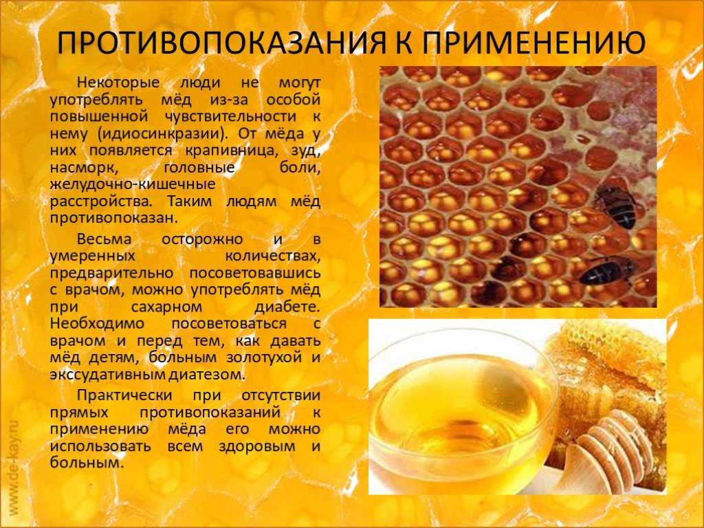 Перга пчелиная полезные свойства и противопоказания: для женщин, мужчин и детей.. как и для чего употреблять пчелиную пергу. перга пчелиная: от чего помогает, как принимать и есть ли противопоказания.