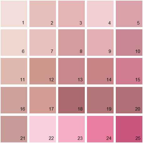 Как пишется бледно розовый. Оттенки розового. Розовая палитра. Пудровый цвет палитра с названиями. Пудровый розовый палитра.