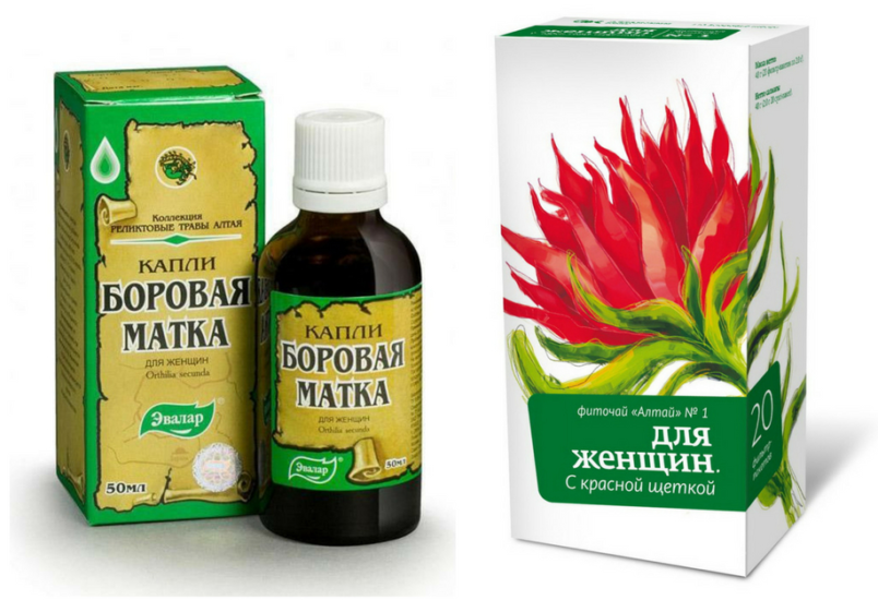 Красная щетка лечебные свойства и противопоказания, совместное применение с боровой маткой