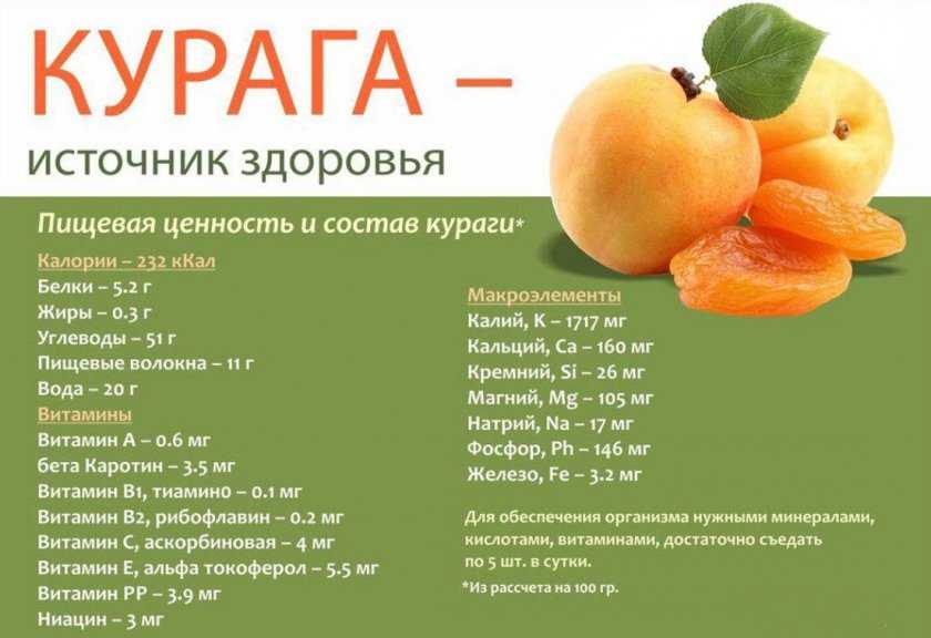 Курага: польза и вред для организма | food and health