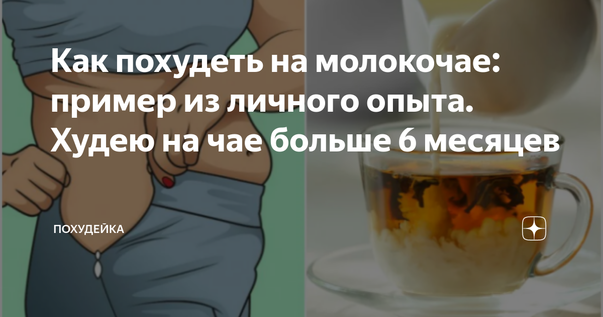 Молокочай для похудения отзывы и результаты с фото до и после * польза и вред, рецепты