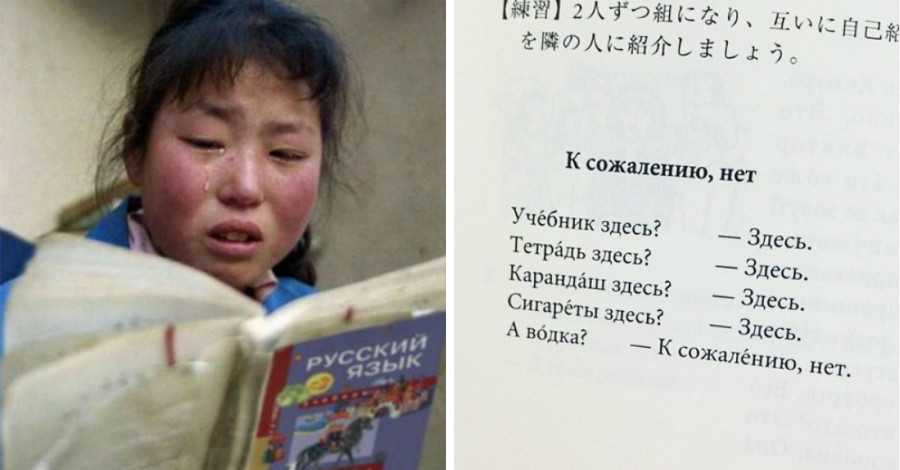 Как изучают русский язык в других странах? | век учись | дзен
