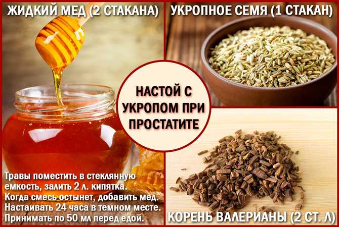 Укроп для женщин: чем полезен для организма