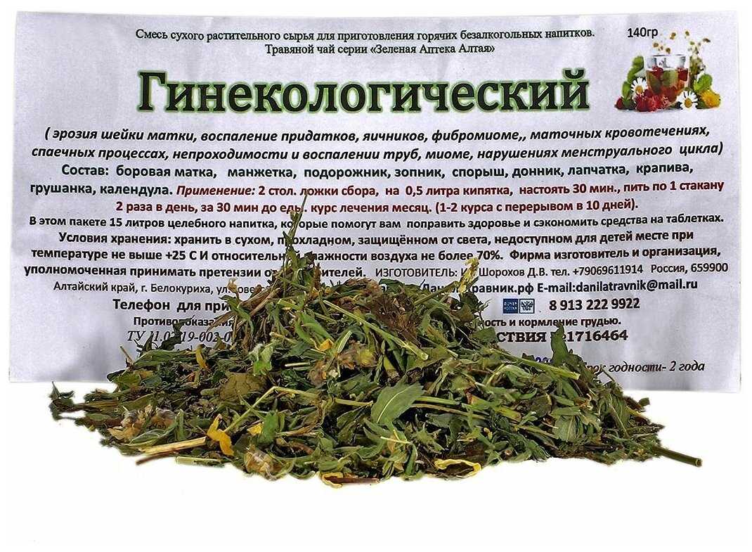 Душица обыкновенная: лечебные свойства и противопоказания