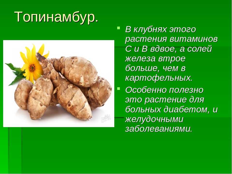 Топинамбур для похудения: диета и полезные рецепты