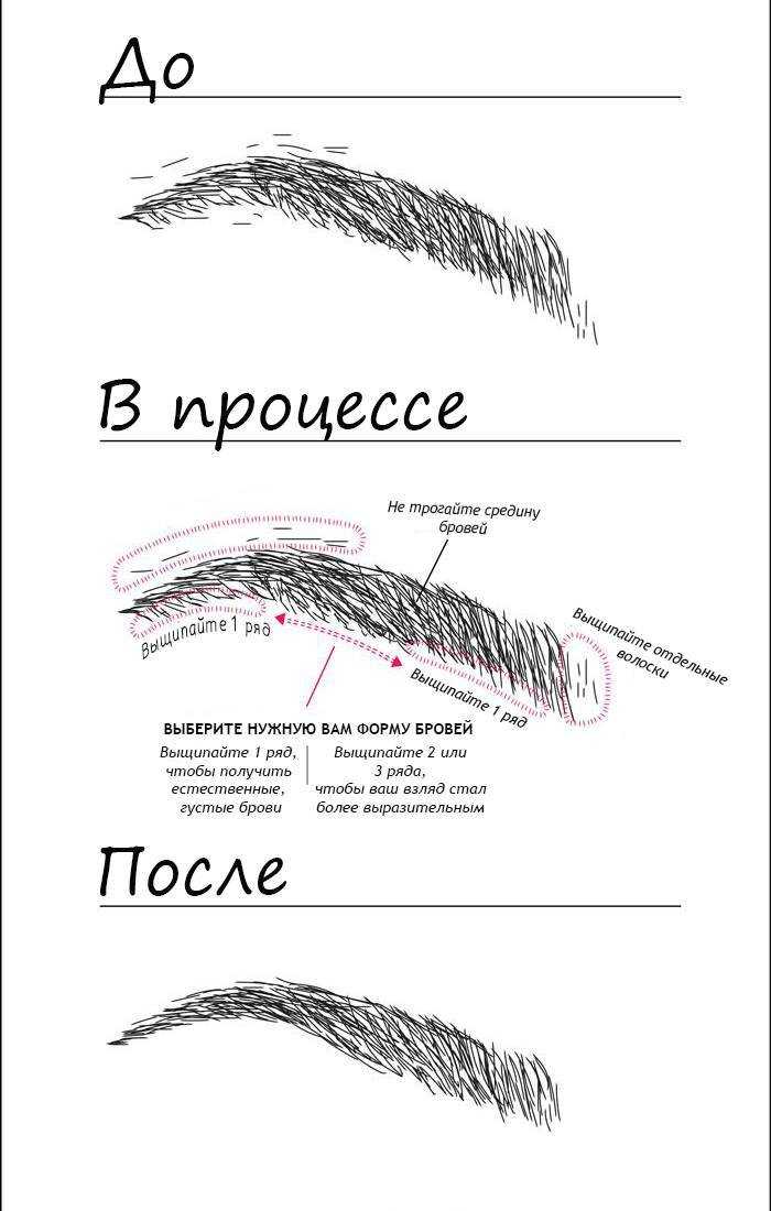 Схема выщипывания бровей по линиям для начинающих