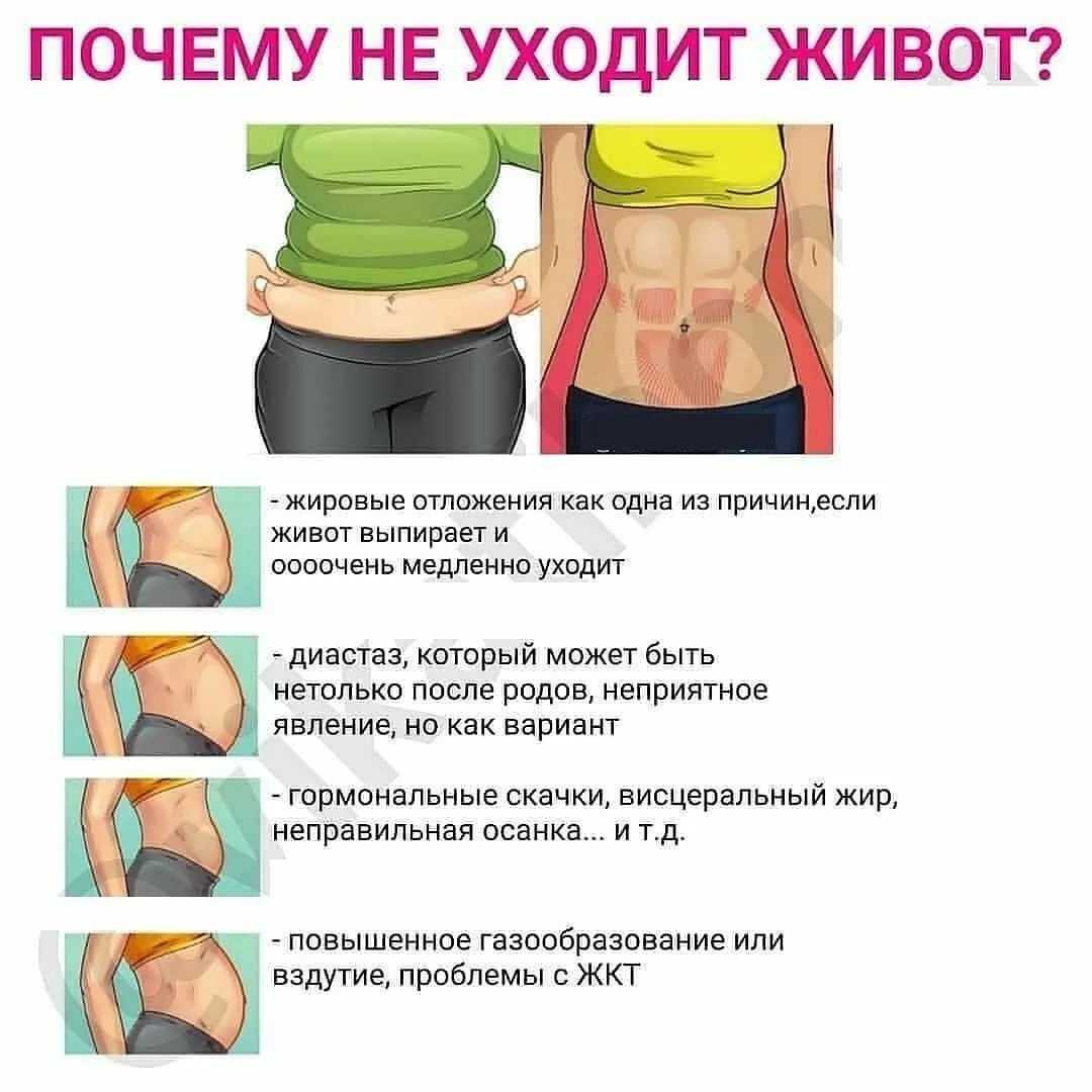 14 лучших спортивных каналов на youtube для женщин: бесплатные видео для занятий спортом дома - все курсы онлайн