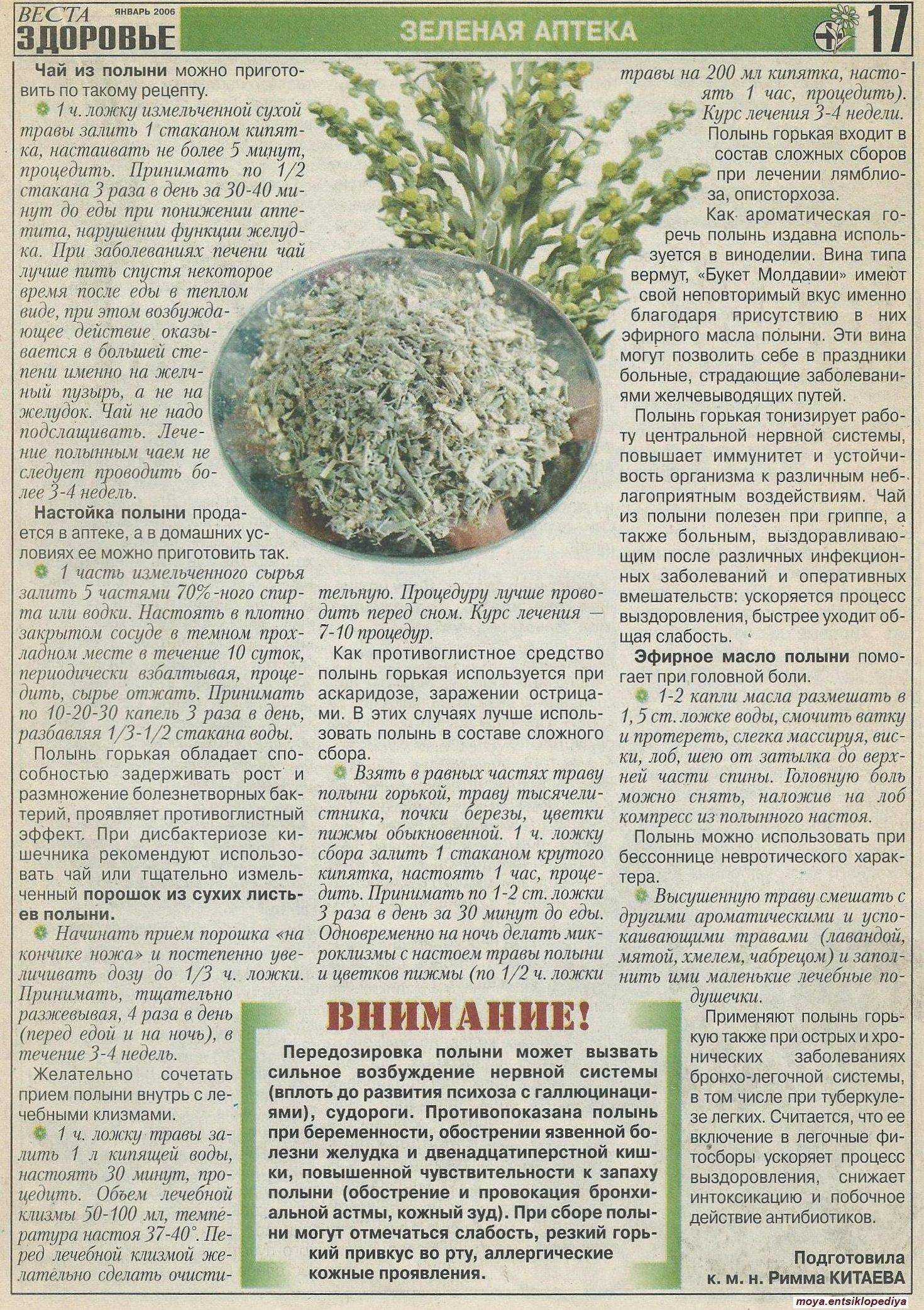 Горькая полынь от кашля. чудо - микстура от кашля из полыни.