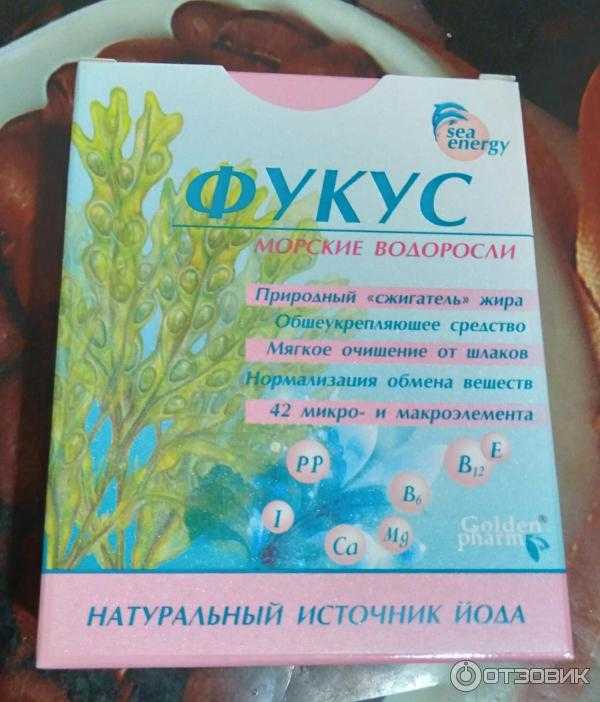Волшебные пузырьки фукуса • михаил кухаренко • научная картинка дня на «элементах» • биология
