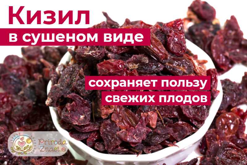 Сладкий и полезный кизил: ценные свойства сушеной ягоды