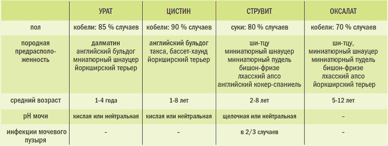 Нефролитиаз — камни в почках: симптомы, диагностика, лечение | университетская клиника