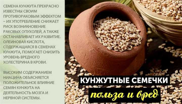 Кунжут черный и белый: в чем разница, чем отличается, какой полезнее